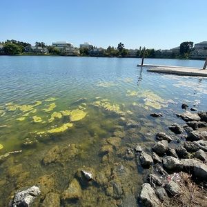 Meet your Posher, Bety